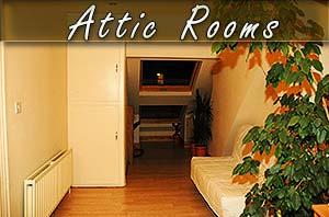 attic rooms in sheffield